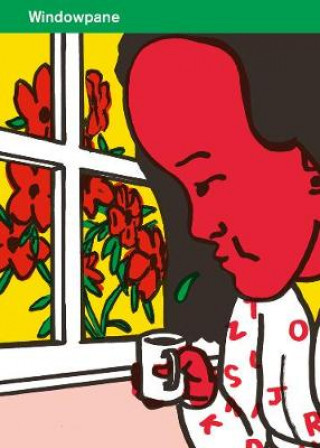 Kniha Windowpane Joe Kessler