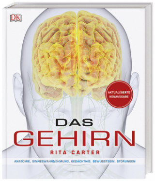 Könyv Das Gehirn Rita Carter