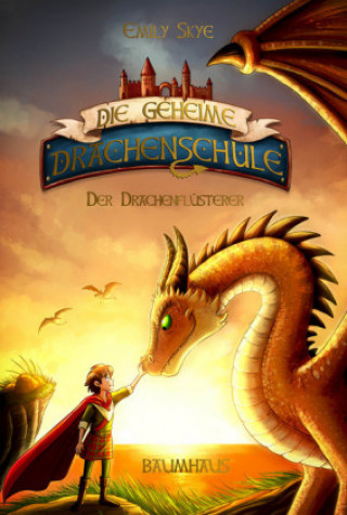 Kniha Die geheime Drachenschule - Der Drache mit den silbernen Hörnern Emily Skye
