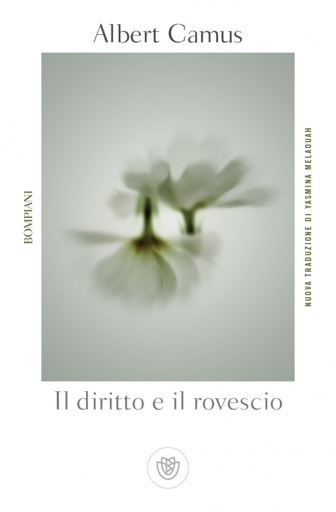 Könyv Il diritto e il rovescio Albert Camus