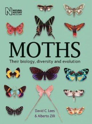Книга Moths David Lees