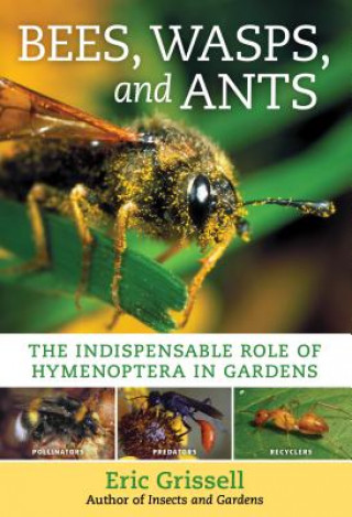 Carte Bees, Wasps, and Ants: The Indispensable Role of Hymenoptera in Gardens Eric Grissell