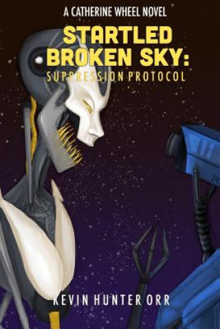 Book Startled Broken Sky: Suppression Protocol Kevin Hunter Orr