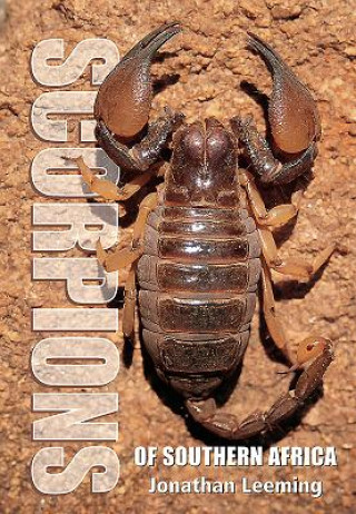 Calendar / Agendă Scorpions of South Africa Jonathan Leeming