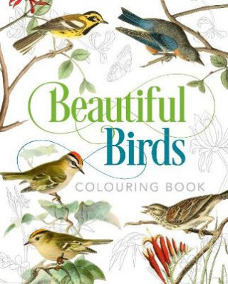 Carte Beautiful Birds Colouring Book Peter Gray