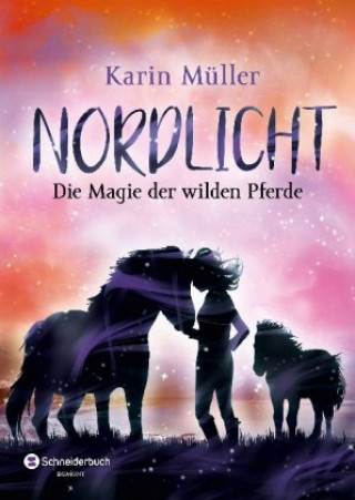 Buch Nordlicht, Band 03 Karin Müller