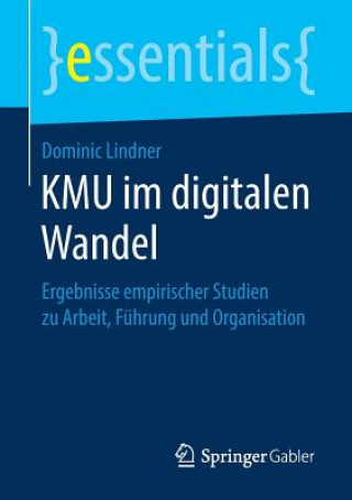 Carte Kmu Im Digitalen Wandel Dominic Lindner