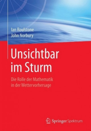 Kniha Unsichtbar im Sturm Ian Roulstone