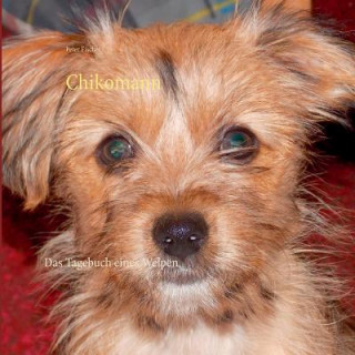 Knjiga Chikomann Peter S. Fischer