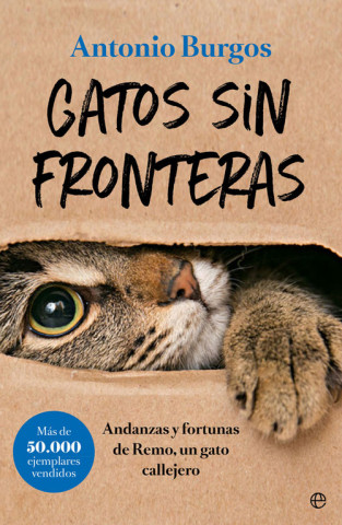 Livro GATOS SIN FRONTERAS ANTONIO BURGOS