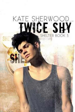Buch Twice Shy Kate Sherwood