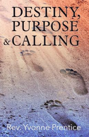 Buch Destiny, Purpose & Calling Yvonne Prentice