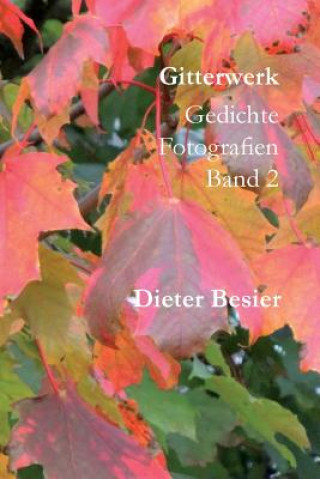 Könyv Gitterwerk: Gedichte und Fotografien, Band 2 Dieter Besier