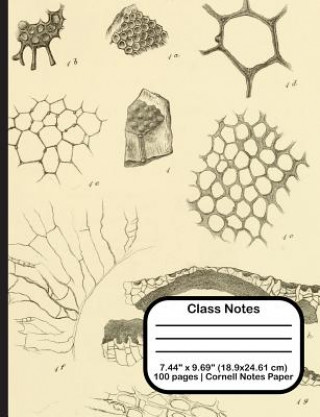 Libro Class Notes Terri Jones