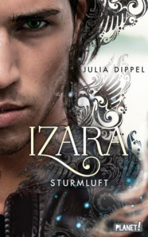 Buch Izara 3: Sturmluft Julia Dippel