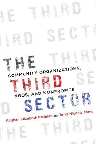 Kniha Third Sector Meghan Kallman