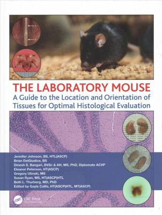 Buch Laboratory Mouse Jennifer (Sanofi) Johnson