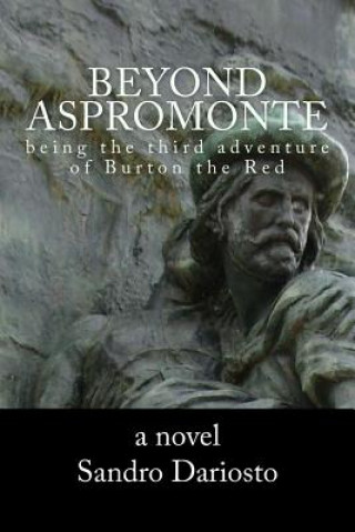 Boek Beyond Aspromonte Sandro Dariosto