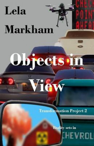 Knjiga Objects in View Lauri Sliney
