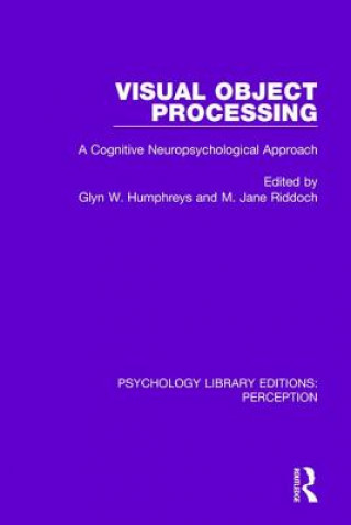 Kniha Visual Object Processing 