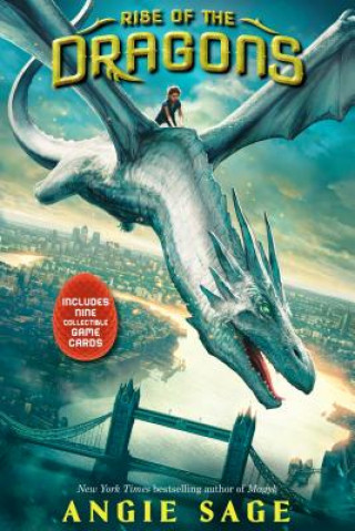 Könyv Rise of the Dragons (Library Edition) Angie Sage