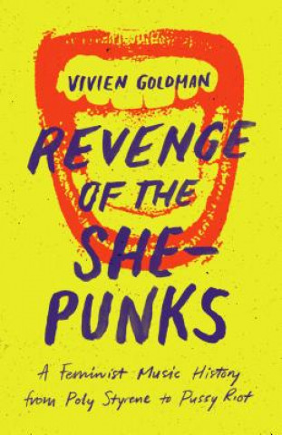 Kniha Revenge of the She-Punks Vivien Goldman