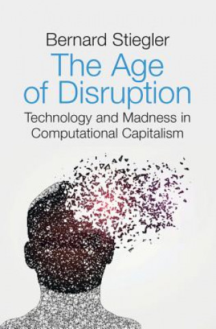 Buch Age of Disruption - Technology and Madness in Computational Capitalism Bernard Stiegler