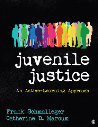 Kniha Juvenile Justice: An Active-Learning Approach Frank A Schmalleger