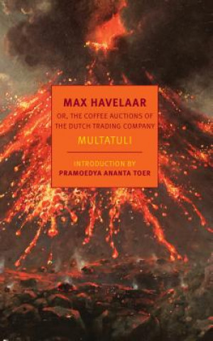 Kniha Max Havelaar Multatuli