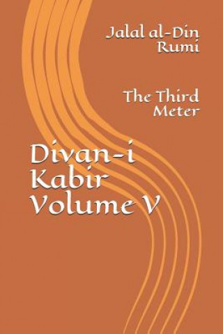 Kniha Divan-i Kabir, Volume V: The Third Meter Jeffrey R Osborne