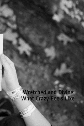 Kniha Wretched and Divine: What Crazy Feels Like A Elaine Henderson