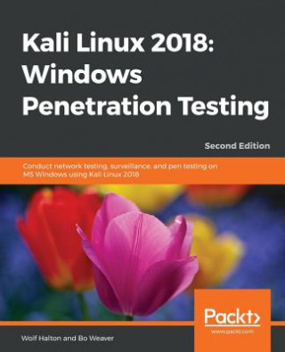 Carte Kali Linux 2018: Windows Penetration Testing Wolf Halton
