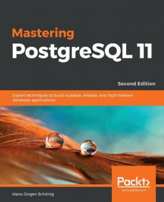 Kniha Mastering PostgreSQL 11 Hans-Jurgen Schoenig