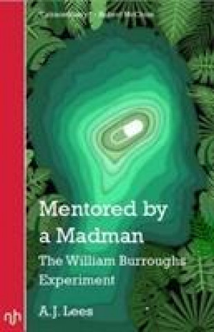 Boek Mentored by a Madman A.J. Lees