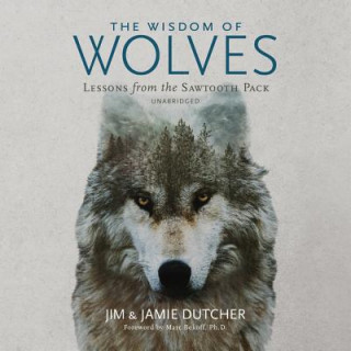 Digital The Wisdom of Wolves: Lessons from the Sawtooth Pack Jim Dutcher