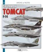 Carte Grumman F-14 Tomcat Pierre-Alain Lambert