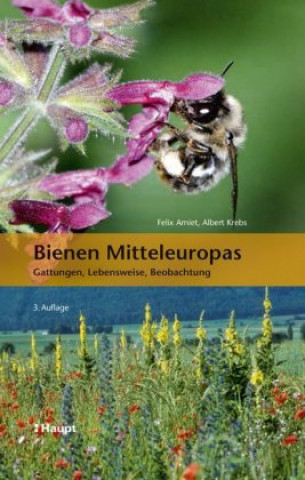 Kniha Bienen Mitteleuropas Felix Amiet