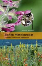 Carte Bienen Mitteleuropas Felix Amiet