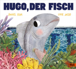 Kniha Hugo, der Fisch Daniel Fehr