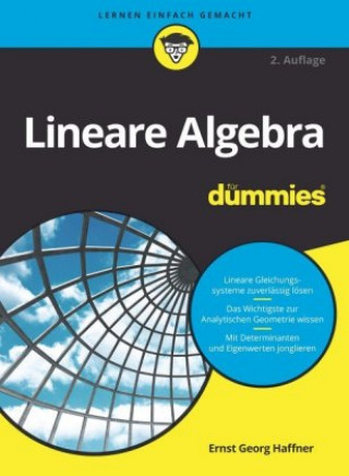 Carte Lineare Algebra fur Dummies 2e Ernst Georg Haffner