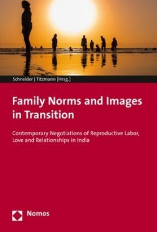 Книга Family Norms and Images in Transition Nadja-Christina Schneider