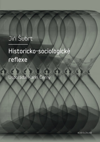 Kniha Historicko-sociologické reflexe Karel Černý