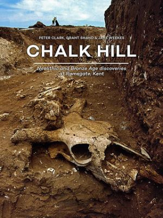 Kniha Chalk Hill Peter Clark