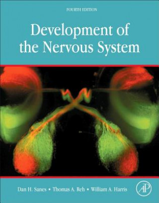 Könyv Development of the Nervous System Dan Sanes