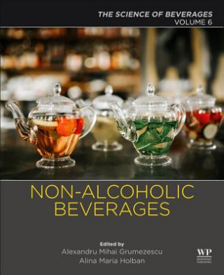 Könyv Non-alcoholic Beverages Alexandru Grumezescu