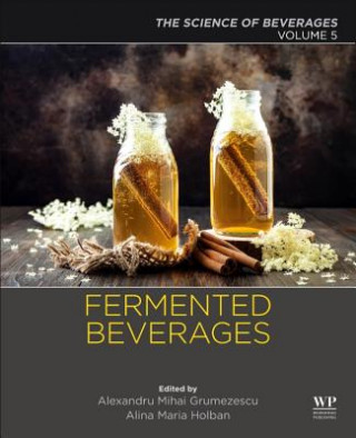 Kniha Fermented Beverages Alexandru Grumezescu