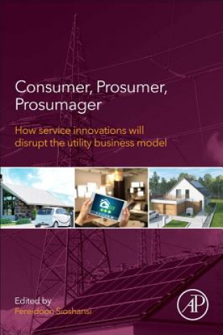 Kniha Consumer, Prosumer, Prosumager Fereidoon Sioshansi