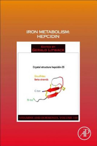 Kniha Iron Metabolism: Hepcidin Gerald Litwack