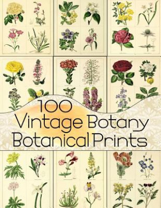 Kniha 100 Vintage Botany Botanical Prints C Anders