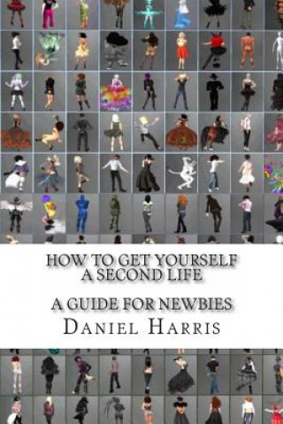 Carte How to Get Yourself a Second Life (A Guide for Newbies) Daniel James Harris